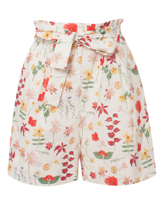 Шорты женские Max Mara Weekend CAFILA разноцветные 38 IT