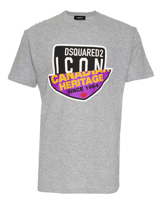 Футболка мужская DSquared2 S79GC0013 серая 2XL