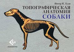 Книга Топографическая анатомия собаки Аквариум Принт