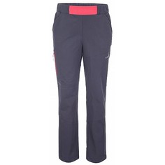 Брюки Icepeak Kennett Jr Granite р. 122