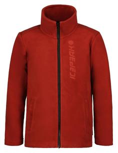 Толстовка Icepeak Kooskia Jr Dark Blue р. 128