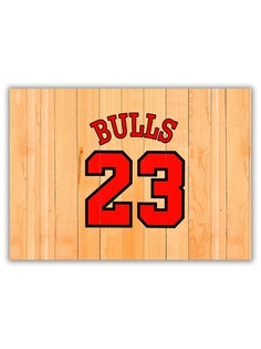 Магнит на холодильник малый DRABS A5, BULLS 23
