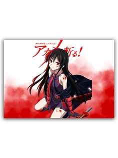 Магнит на холодильник DRABS Akame ga Kill