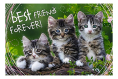 Пазл Trefl кошка 260 деталей