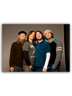 Магнит на холодильник DRABS Red Hot Chili Peppers 1