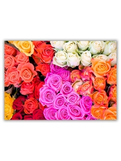 Магнит на холодильник DRABS большой - A4, Розы разных цветов