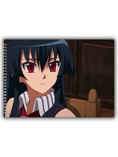 Альбом для рисования DRABS Akame ga Kill акаме
