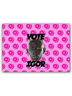 Магнит на холодильник DRABS Рэпер Tyler the creator (IGOR)
