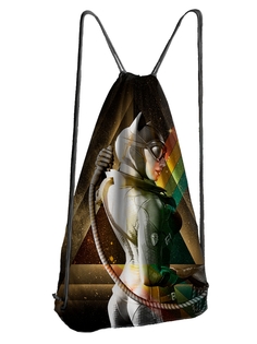 Мешок для обуви DRABS Мешок 23 Женщина кошка