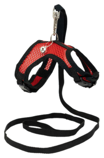 Комплект поводок, шлейка для кошек Darell Аэро красный, черный Дарэлл