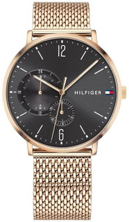 Наручные часы мужские Tommy Hilfiger 1791506 золотистые