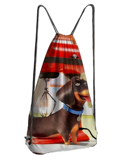 Мешок для обуви DRABS Мешок 20 Такса довольная