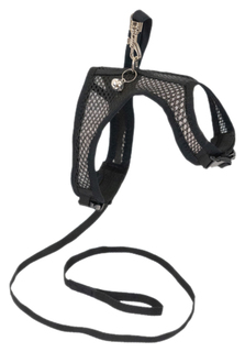 Комплект поводок, шлейка для кошек, для собак Darell Аэро черный Дарэлл