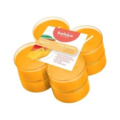 Свечи ароматические Bolsius манго 8 шт