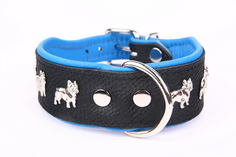 Ошейник для собак Zooleszcz Super French Bulldog, черно-голубой, 40мм х 45см