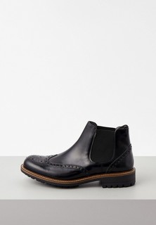 Ботинки Pollini