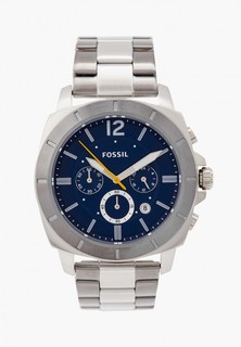 Fossil Lookbuck 17