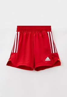 Шорты спортивные adidas