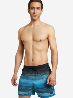 Шорты плавательные мужские Speedo, Голубой, размер 46-48