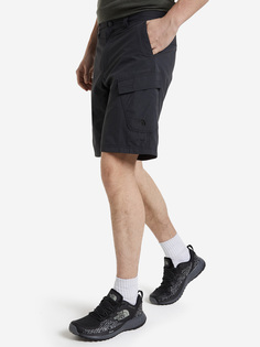Шорты мужские The North Face Horizon Cargo, Серый, размер 50