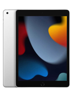 Планшет APPLE iPad 10.2 Wi-Fi 64Gb Silver MK2L3RU/A