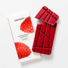 Шоколад Самокат органический, малина, 45 г