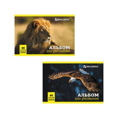 Альбом для рисования А4 40 л скоба BRAUBERG 200х283 мм Дикие животные 2 вида 104876