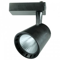Светильник на штанге Ptr 0325 5010611 Jazzway