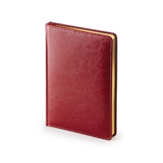 Ежедневник датированный, 145x206 мм, SIDNEY NEBRASKA 168 л., 3125/01 Альт