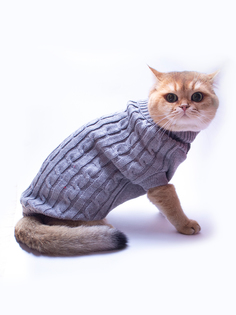 Одежда для собак и кошек / комбинезон для животных ГолдиК