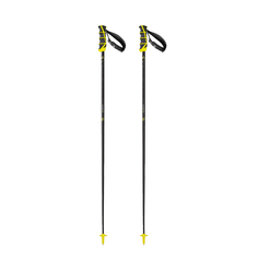 Горнолыжные палки Fischer RC4 Carbon (120)