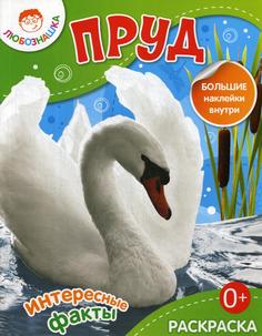 Книга Пруд Рипол Классик