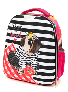 Каркасный ранец Znatok с ортопедической спинкой 1036G Знаток