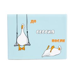 Обложка для зачетной книжки унисекс Kawaii Factory гуси мультиколор