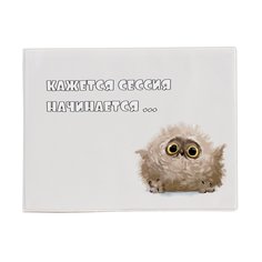 Обложка для зачетной книжки унисекс Kawaii Factory сова мультиколор