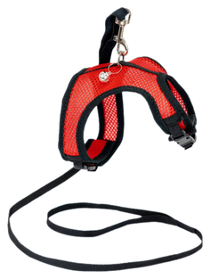 Шлейка-поводок для кошек и собак Darell 3d-сетка №6, обхват груди 27-32см, красная Дарэлл