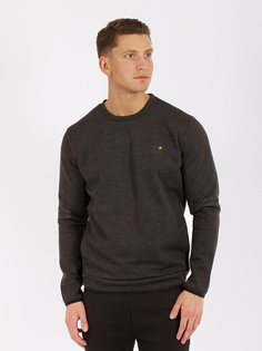 Свитшот мужской DAIROS GD69301169 серый 3XL