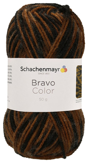 Пряжа Schachenmayr 9801421 Bravo Color Originals (02337)
