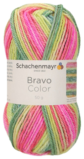 Пряжа Schachenmayr 9801421 Bravo Color Originals (02123)