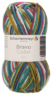 Пряжа Schachenmayr 9801421 Bravo Color Originals (02084, jeans jacquard color)