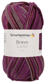 Пряжа Schachenmayr 9801421 Bravo Color Originals (02088)