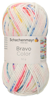 Пряжа Schachenmayr 9801421 Bravo Color Originals (02136)