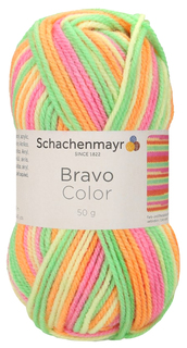 Пряжа Schachenmayr 9801421 Bravo Color Originals (02100, casablanca color)