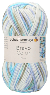 Пряжа Schachenmayr 9801421 Bravo Color Originals (02125)