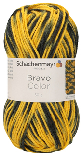Пряжа Schachenmayr 9801421 Bravo Color Originals (02338)
