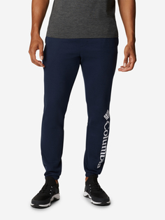 Брюки мужские Columbia Trek Jogger, Синий, размер 56