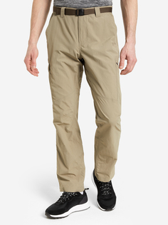 Брюки мужские Columbia Silver Ridge Cargo Pant, Бежевый, размер 50/32