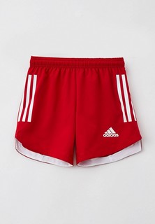 Шорты спортивные adidas