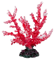 Коралл искусственный Laguna Монтипора красный, 180х95х185 мм