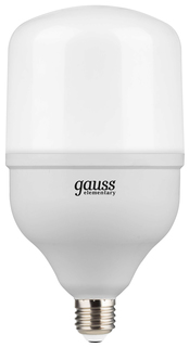 Лампочка Gauss Elementary T160 E27 60W 5400Lm 4000K